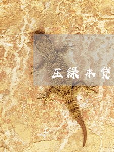 压绿本贷款逾期几天收车 压绿本贷款逾期几天收车