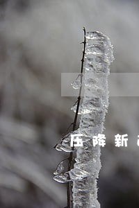 压降新逾期贷款 压降新逾期贷款