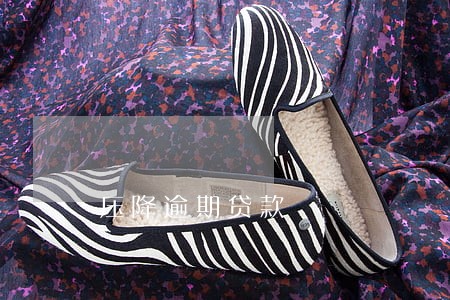 压降逾期贷款 压降逾期贷款