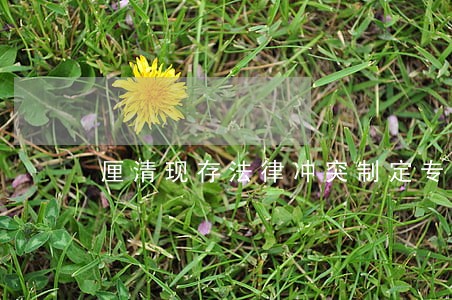 厘清现存法律冲突制定专门法规 厘清现存法律冲突制定专门法规