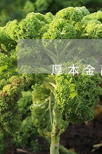 厚本金融理财逾期 厚本金融理财逾期