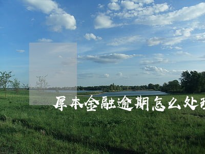 厚本金融逾期怎么处理6 厚本金融逾期怎么处理6