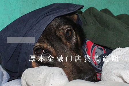 厚本金融门店贷款逾期 厚本金融门店贷款逾期