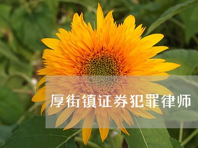 厚街镇证券犯罪律师
