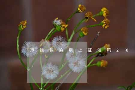 厚钱包逾期上征信吗2018 厚钱包逾期上征信吗2018