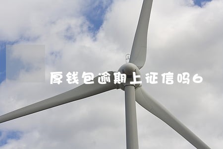 厚钱包逾期上征信吗6 厚钱包逾期上征信吗6