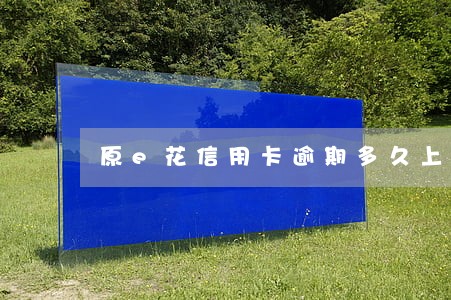 原e花信用卡逾期多久上征信 原e花信用卡逾期多久上征信