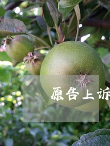 原告上诉离婚需要什么手续 原告上诉离婚需要什么手续