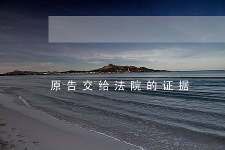 原告交给法院的证据 原告交给法院的证据