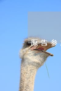 原告参加诉讼申请的法律依据 原告参加诉讼申请的法律依据