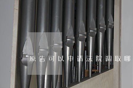 原告可以申请法院调取哪些证据 原告可以申请法院调取哪些证据