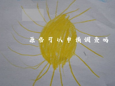原告可以申请调查吗