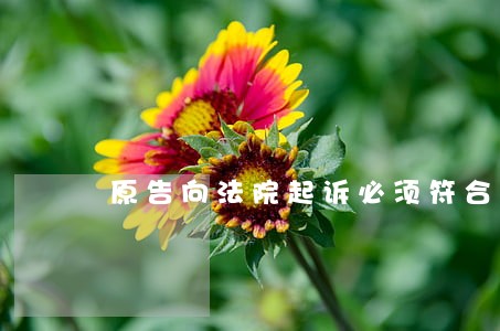 原告向法院起诉必须符合什么条件 原告向法院起诉必须符合什么条件