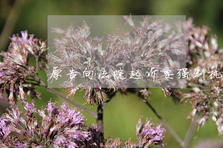 原告向法院起诉要强制执行 原告向法院起诉要强制执行