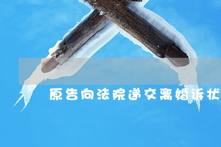 原告向法院递交离婚诉状 原告向法院递交离婚诉状