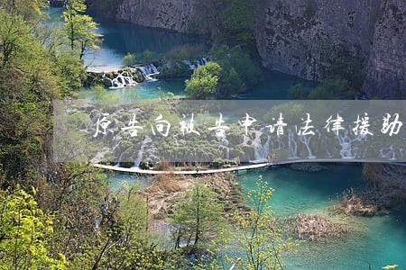 原告向被告申请法律援助 原告向被告申请法律援助