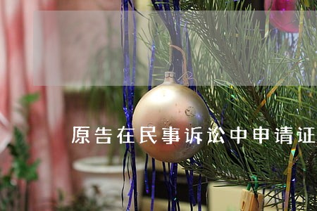 原告在民事诉讼中申请证人出庭作证 原告在民事诉讼中申请证人出庭作证