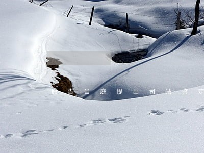 原告当庭提出司法鉴定 原告当庭提出司法鉴定