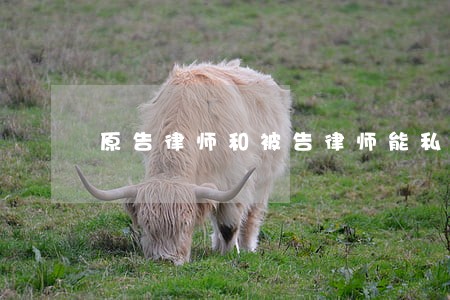 原告律师和被告律师能私了吗 原告律师和被告律师能私了吗