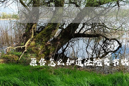 原告怎么知道法院文书收没收到 原告怎么知道法院文书收没收到