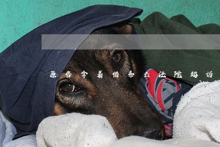 原告拿着借条去法院起诉 原告拿着借条去法院起诉