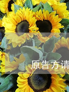 原告方请律师律师会录口供吗 原告方请律师律师会录口供吗