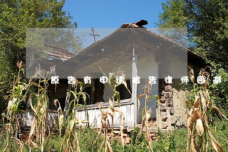原告有申请被告律师回避的权力吗 原告有申请被告律师回避的权力吗