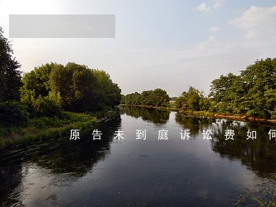 原告未到庭诉讼费如何处理 原告未到庭诉讼费如何处理