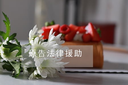 原告法律援助