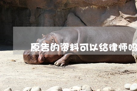 原告的资料可以给律师吗 原告的资料可以给律师吗