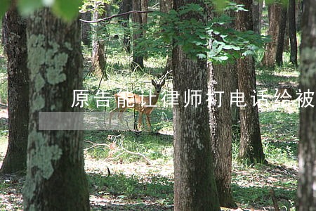 原告能让律师打电话给被告吗 原告能让律师打电话给被告吗