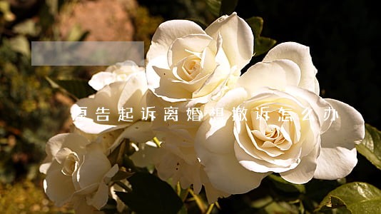原告起诉离婚想撤诉怎么办 原告起诉离婚想撤诉怎么办