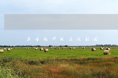 原告起诉被法院驳回 原告起诉被法院驳回