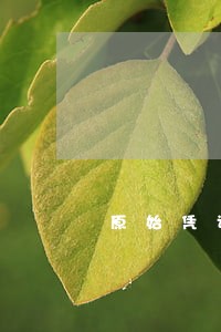原始凭证内容不符合财经法规 原始凭证内容不符合财经法规