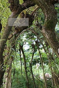 原子贷信用卡贷逾期 原子贷信用卡贷逾期