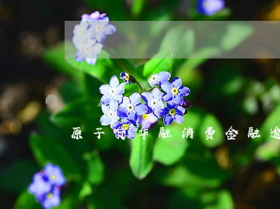 原子贷华融消费金融逾期