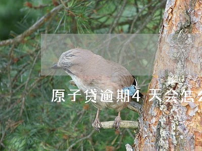 原子贷逾期4天会怎么样 原子贷逾期4天会怎么样