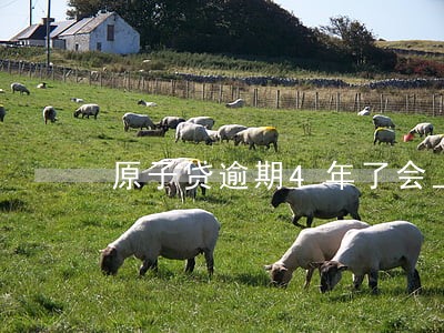 原子贷逾期4年了会上门吗 原子贷逾期4年了会上门吗