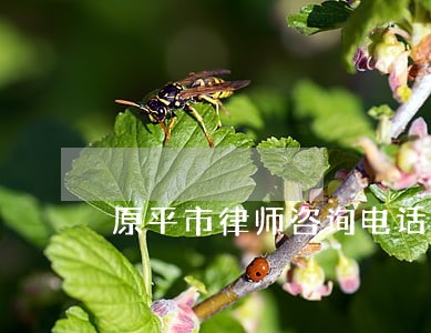 原平市律师咨询电话 原平市律师咨询电话