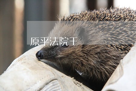 原平法院王 原平法院王