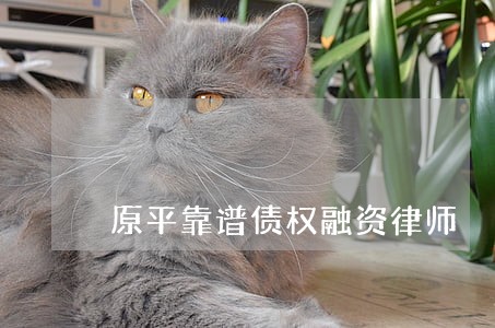 原平靠谱债权融资律师 原平靠谱债权融资律师