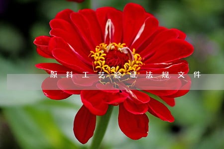 原料工艺验证法规文件 原料工艺验证法规文件