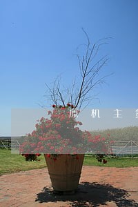 原机主贷款逾期骚扰现机主 原机主贷款逾期骚扰现机主