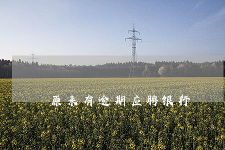 原来有逾期应聘银行 原来有逾期应聘银行