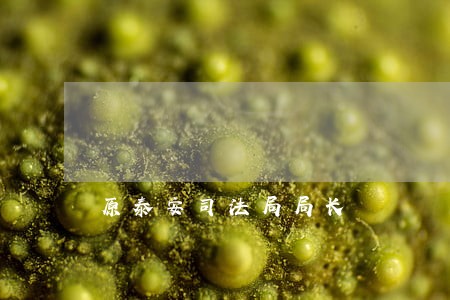 原泰安司法局局长