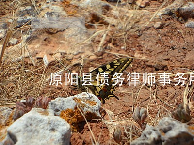 原阳县债务律师事务所在线咨询