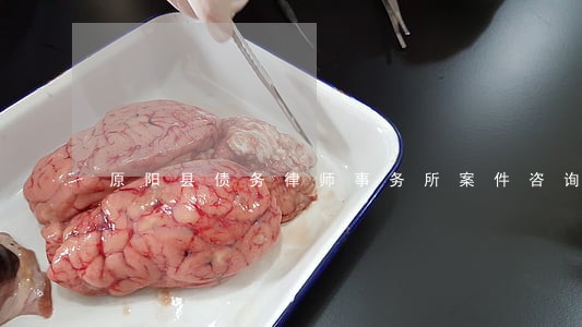 原阳县债务律师事务所案件咨询 原阳县债务律师事务所案件咨询