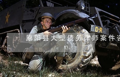 原阳县大型债务律师案件咨询 原阳县大型债务律师案件咨询