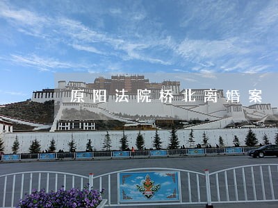 原阳法院桥北离婚案 原阳法院桥北离婚案