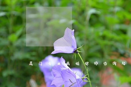 厦门专业离婚律师咨询处